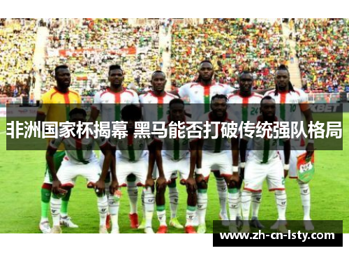 非洲国家杯揭幕 黑马能否打破传统强队格局